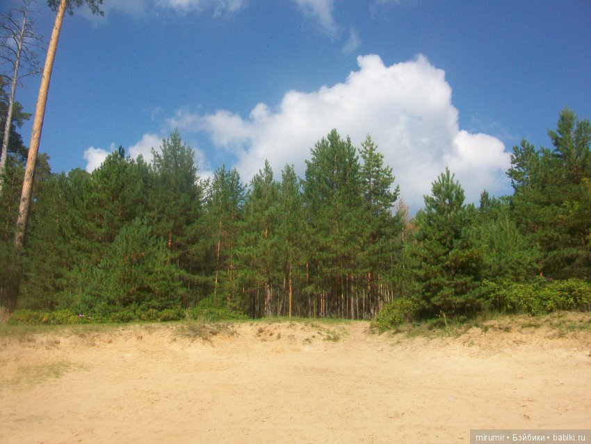 Как мы ездили в марийские леса на озеро Яльчик (фото 5)