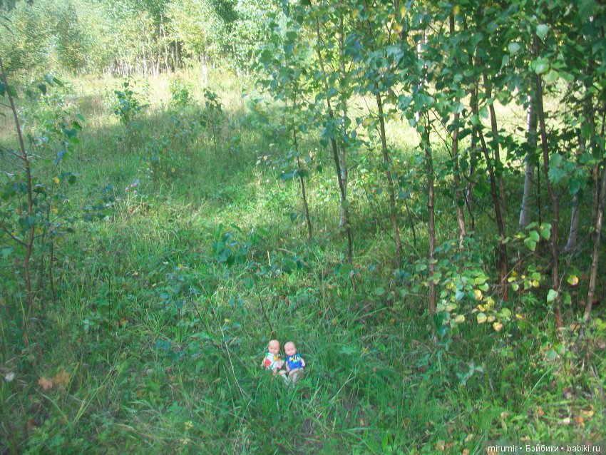 Как мы ездили в марийские леса на озеро Яльчик