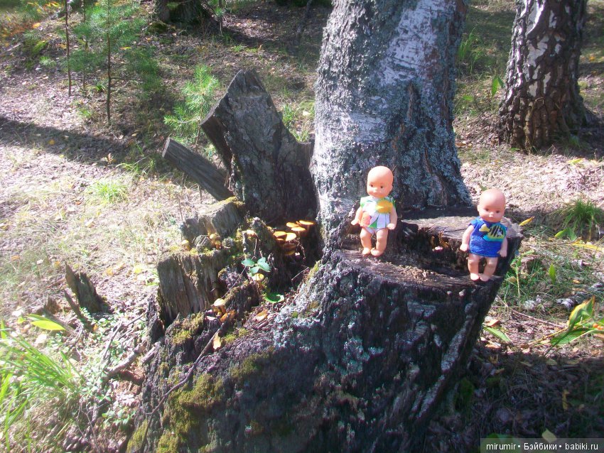 Как мы ездили в марийские леса на озеро Яльчик