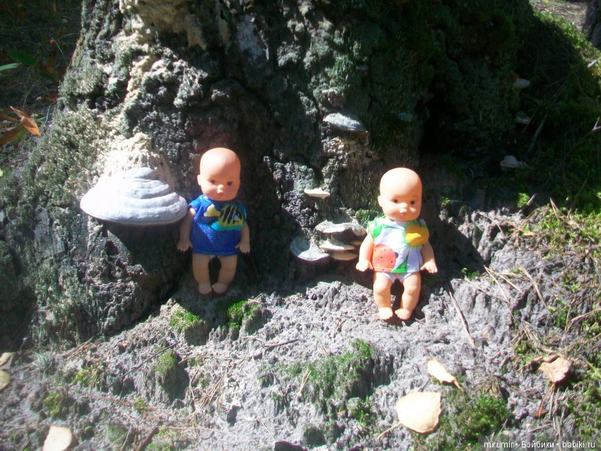 Как мы ездили в марийские леса на озеро Яльчик