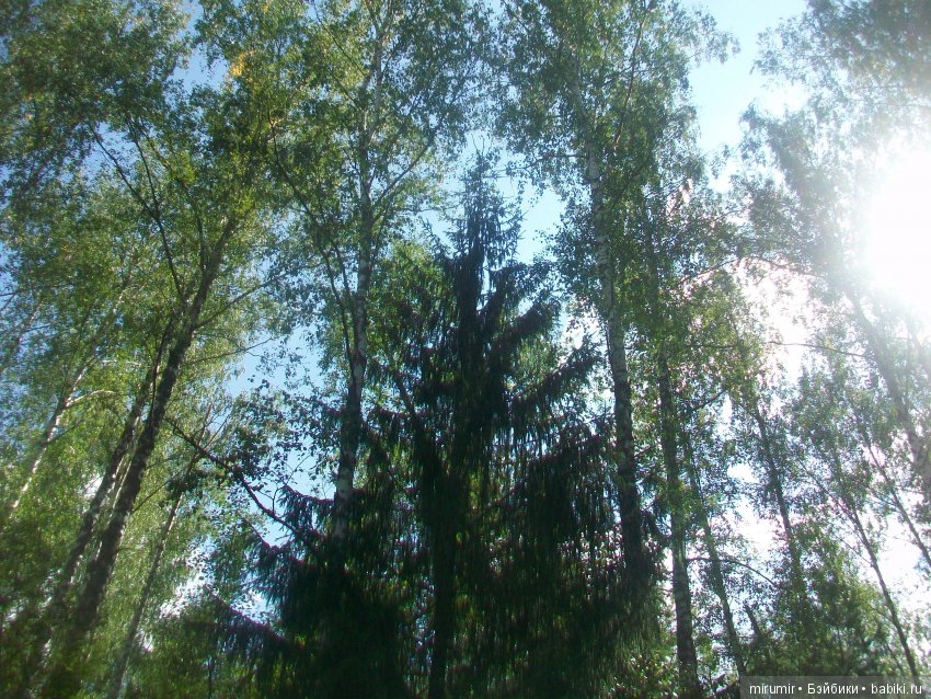 Как мы ездили в марийские леса на озеро Яльчик