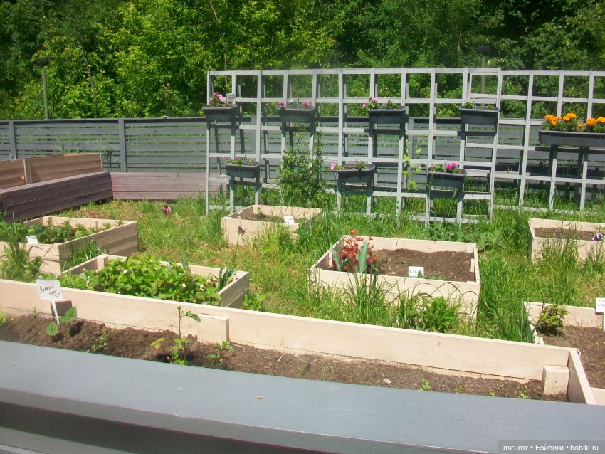 Вот и лето пришло — Другие мини