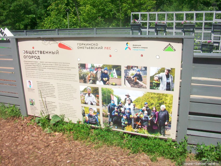 Вот и лето пришло — Другие мини