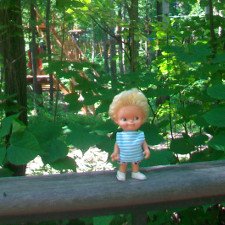 Вот и лето пришло