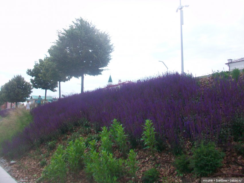 Прогулки у воды. Часть 1 — Туризм и путешествия: фотоотчеты из поездок