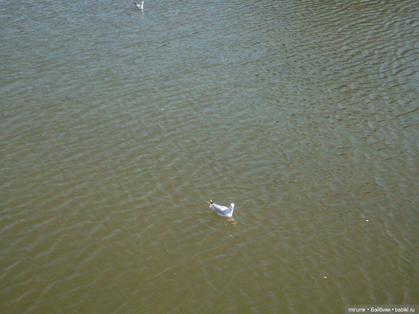 Что-то новое к 100-летию ТАССР в Казани. Часть 2