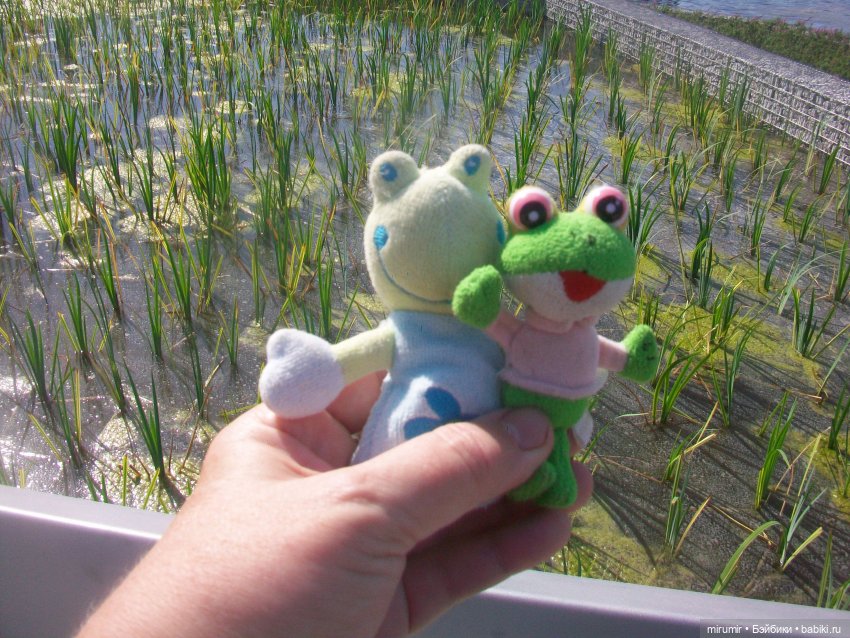 Что-то новое к 100-летию ТАССР в Казани. Часть 2