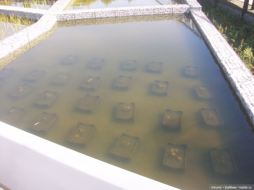 Что-то новое к 100-летию ТАССР в Казани. Часть 2