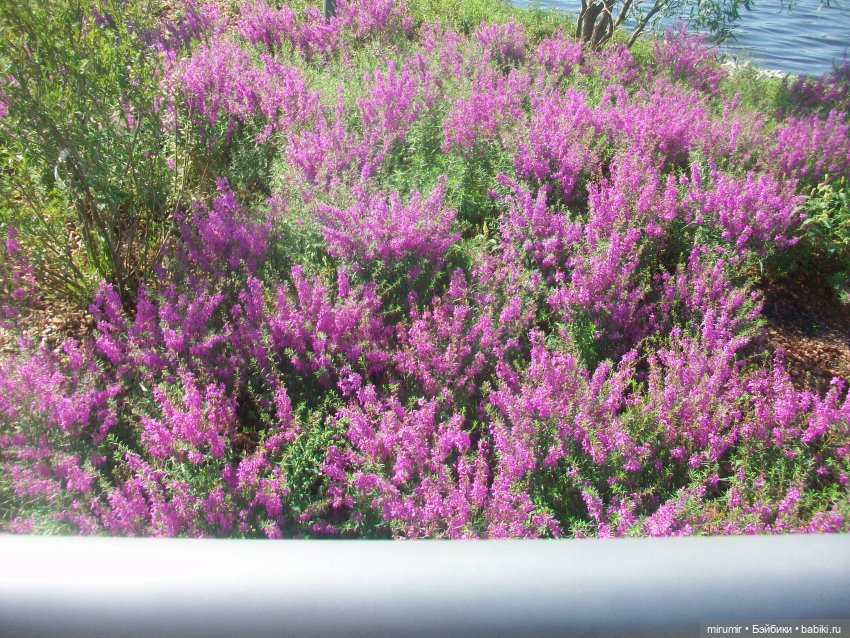 Что-то новое к 100-летию ТАССР в Казани. Часть 2