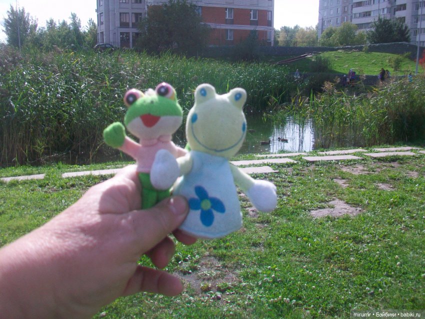 Как мы ходили смотреть уток на озере