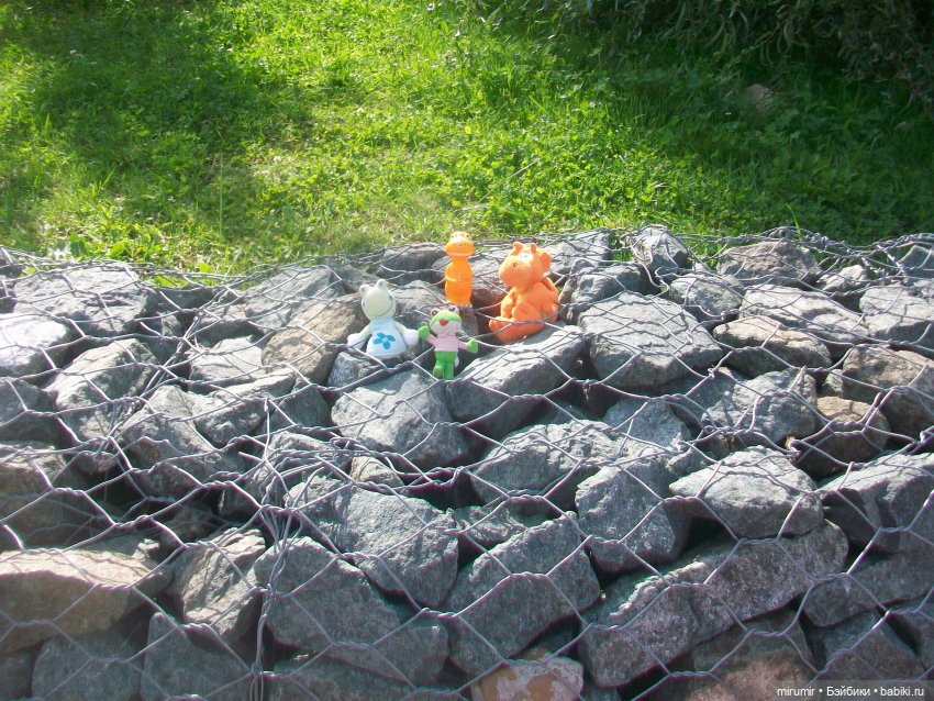 Как мы ходили смотреть уток на озере