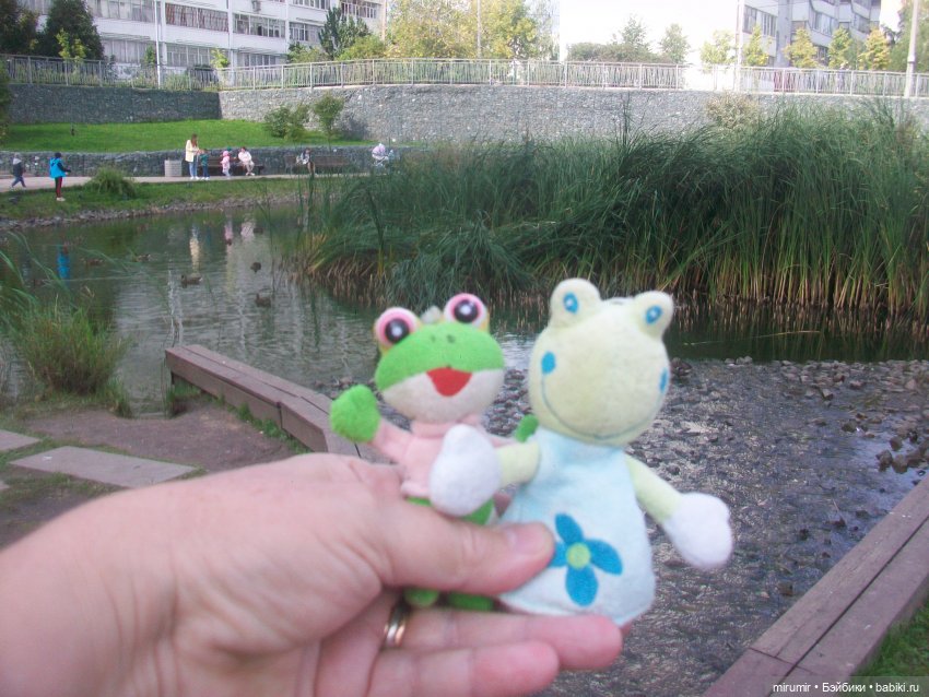 Как мы ходили смотреть уток на озере