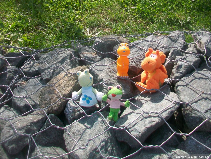 Как мы ходили смотреть уток на озере