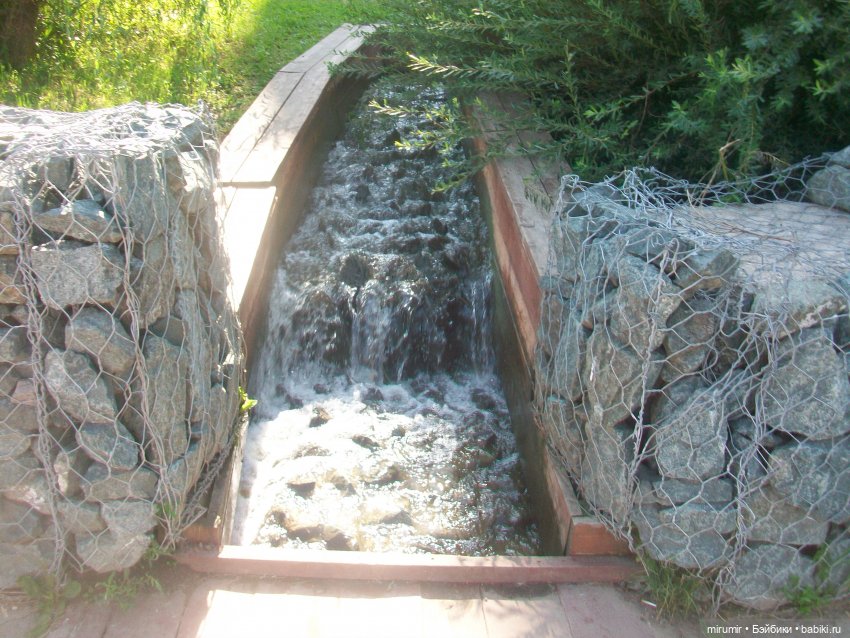 Как мы ходили смотреть уток на озере (фото 6)