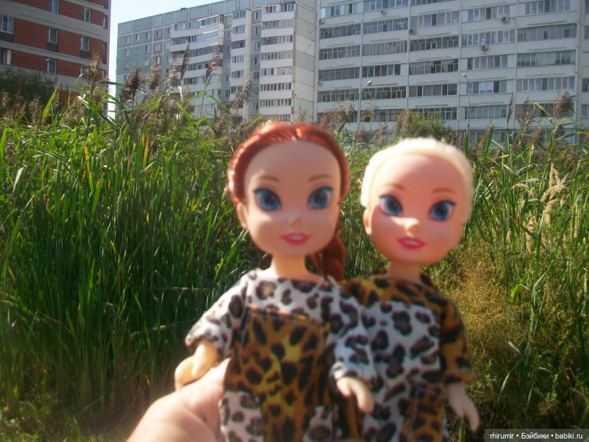 Как мы ходили смотреть уток на озере (фото 3)