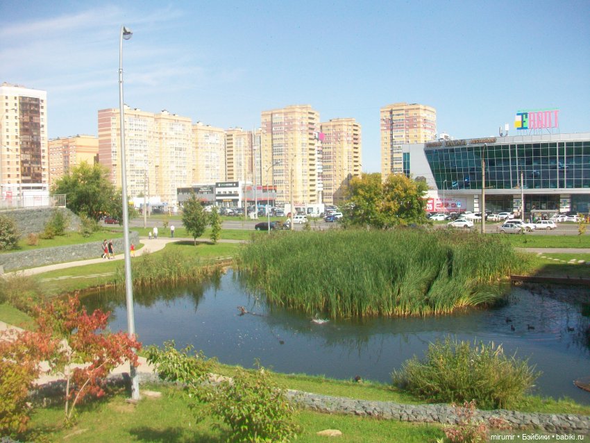 Как мы ходили смотреть уток на озере