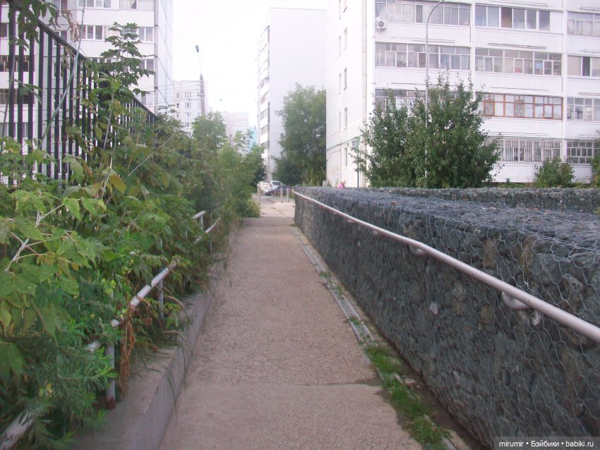 Как мы ходили смотреть уток на озере