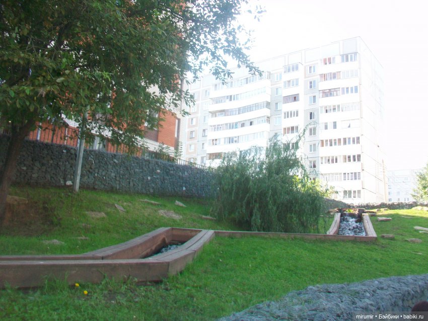 Как мы ходили смотреть уток на озере (фото 7)