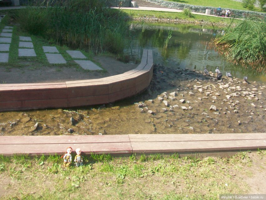 Как мы ходили смотреть уток на озере (фото 5)