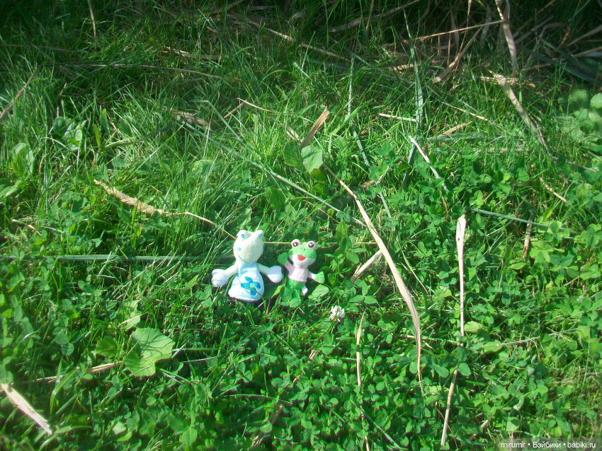 Как мы ходили смотреть уток на озере