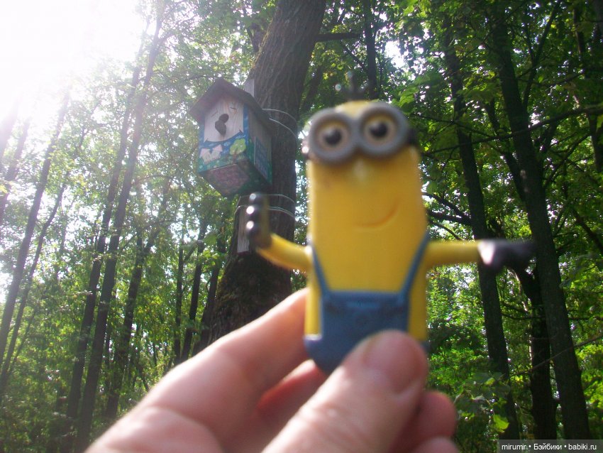 Найденыши — Интересное и необычное: фотоподборки (фото 2)