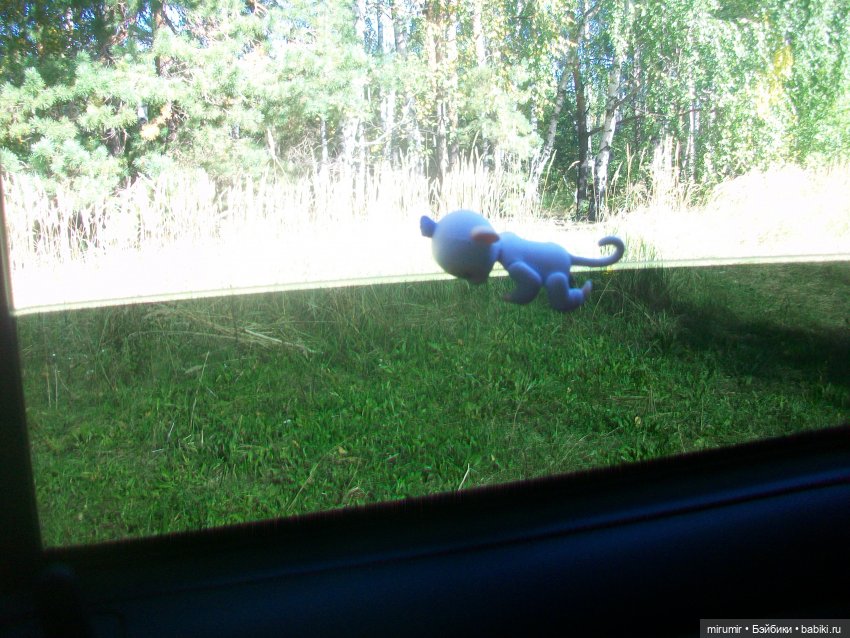 Найденыши — Интересное и необычное: фотоподборки