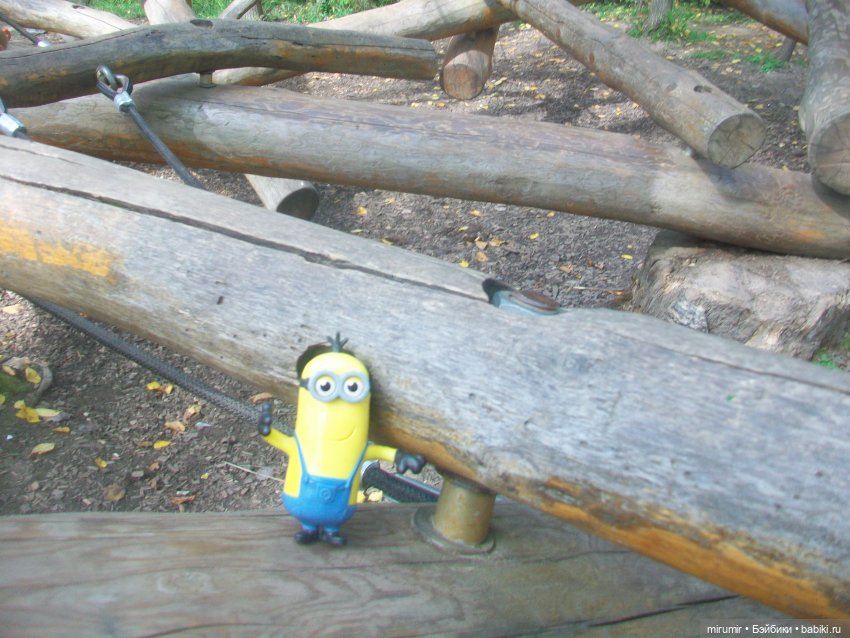 Найденыши — Интересное и необычное: фотоподборки (фото 4)