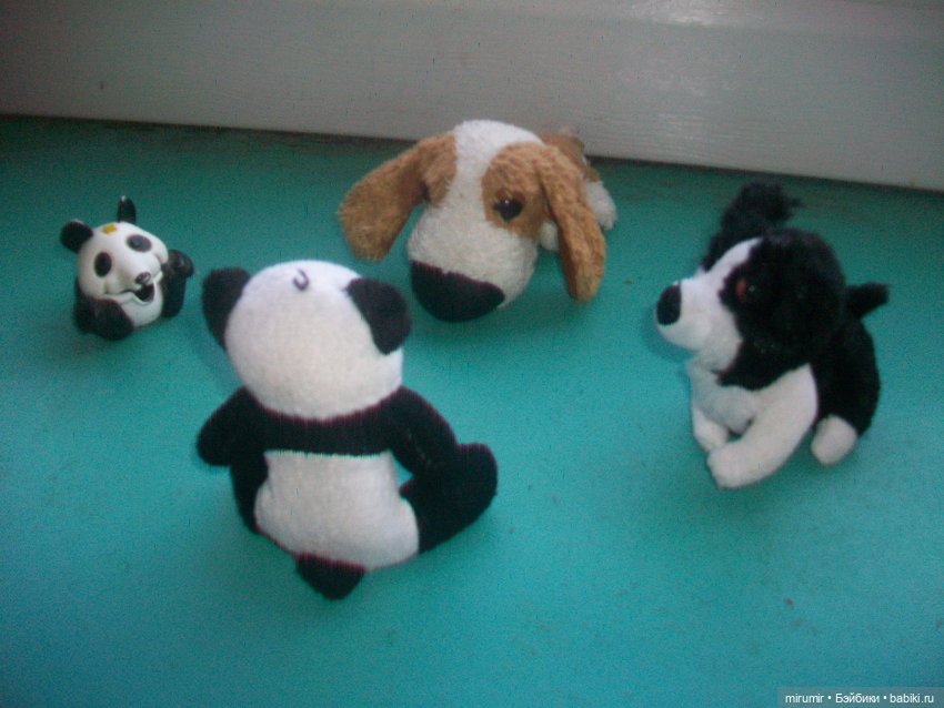 Найденыши — Интересное и необычное: фотоподборки