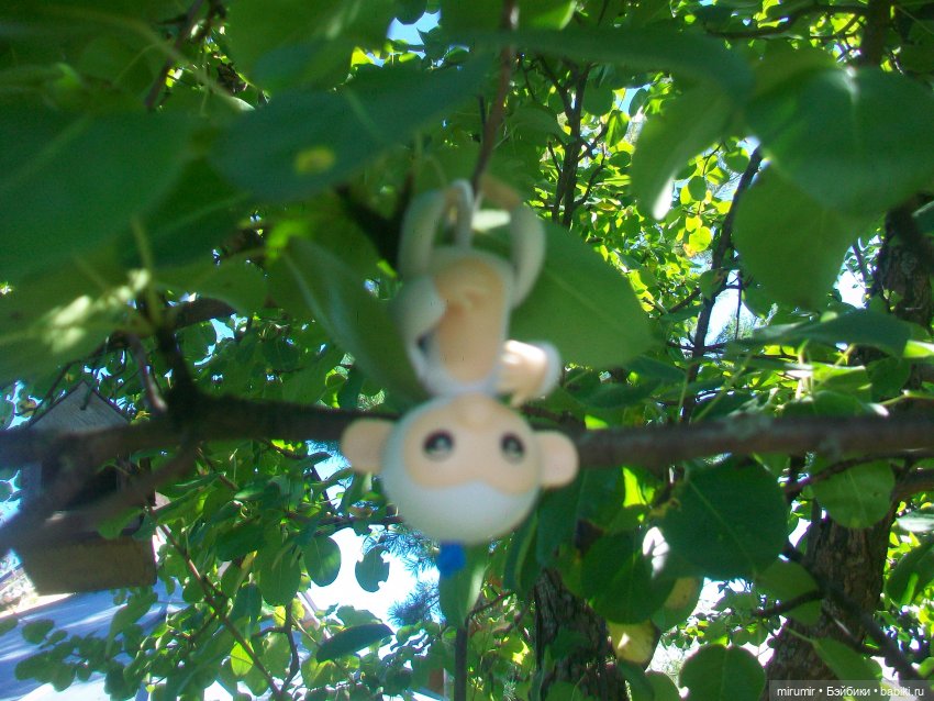 Найденыши — Интересное и необычное: фотоподборки