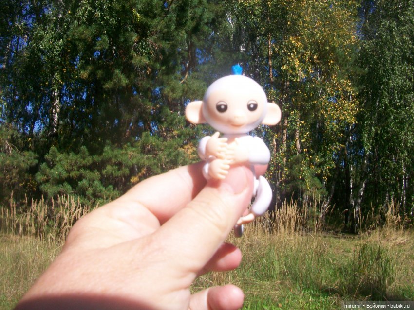 Найденыши — Интересное и необычное: фотоподборки