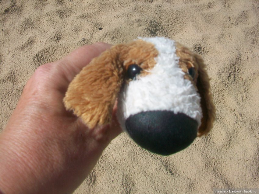 Найденыши — Интересное и необычное: фотоподборки