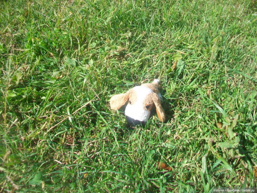 Найденыши — Интересное и необычное: фотоподборки