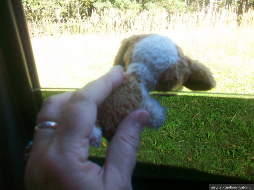 Найденыши — Интересное и необычное: фотоподборки