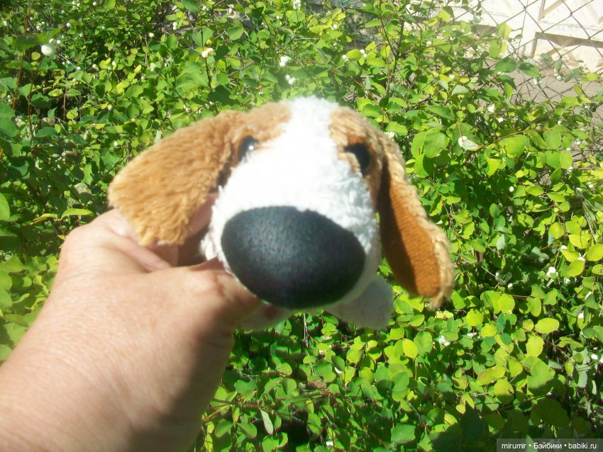 Найденыши — Интересное и необычное: фотоподборки