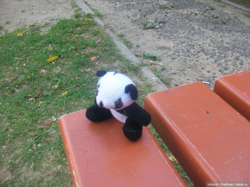 Найденыши — Интересное и необычное: фотоподборки (фото 10)