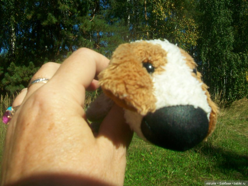 Найденыши — Интересное и необычное: фотоподборки