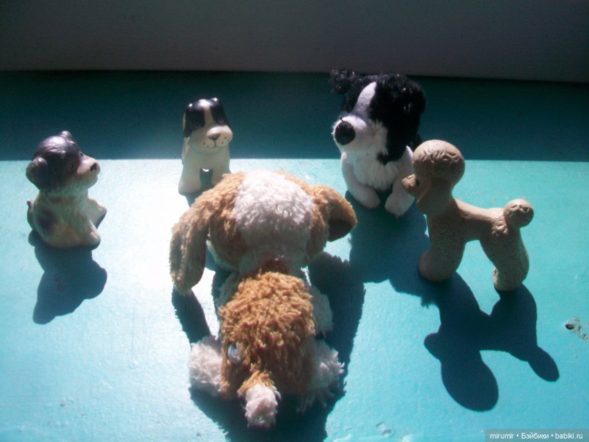 Найденыши — Интересное и необычное: фотоподборки