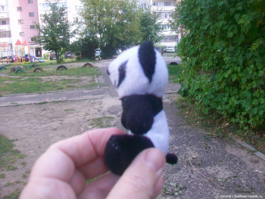 Найденыши — Интересное и необычное: фотоподборки