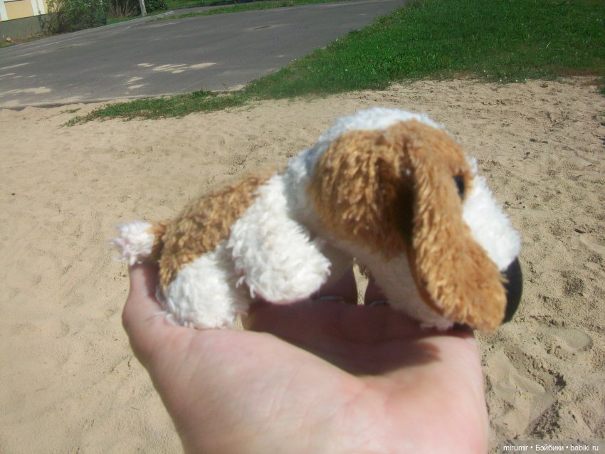 Найденыши — Интересное и необычное: фотоподборки