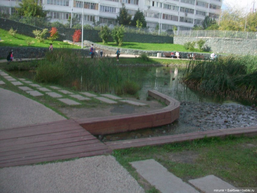 На уток захотели посмотреть и мои лягушки-путешественницы (фото 3)