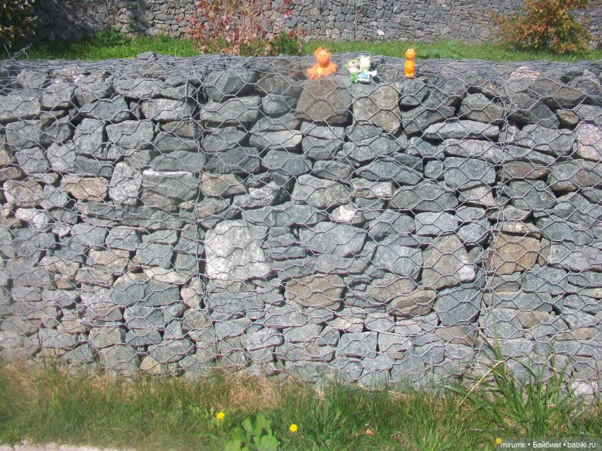 На уток захотели посмотреть и мои лягушки-путешественницы (фото 7)