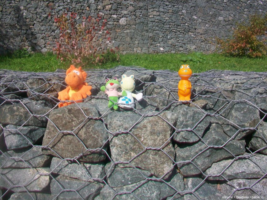 На уток захотели посмотреть и мои лягушки-путешественницы (фото 8)