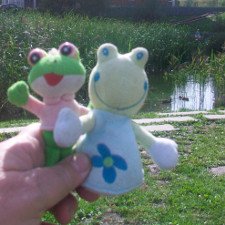 На уток захотели посмотреть и мои лягушки-путешественницы