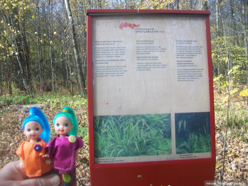 Прогулка в парке — Туризм и путешествия: фотоотчеты из поездок