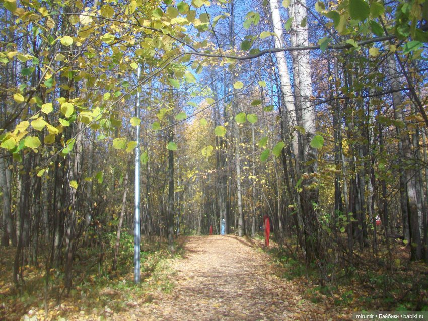 Прогулка в парке — Туризм и путешествия: фотоотчеты из поездок
