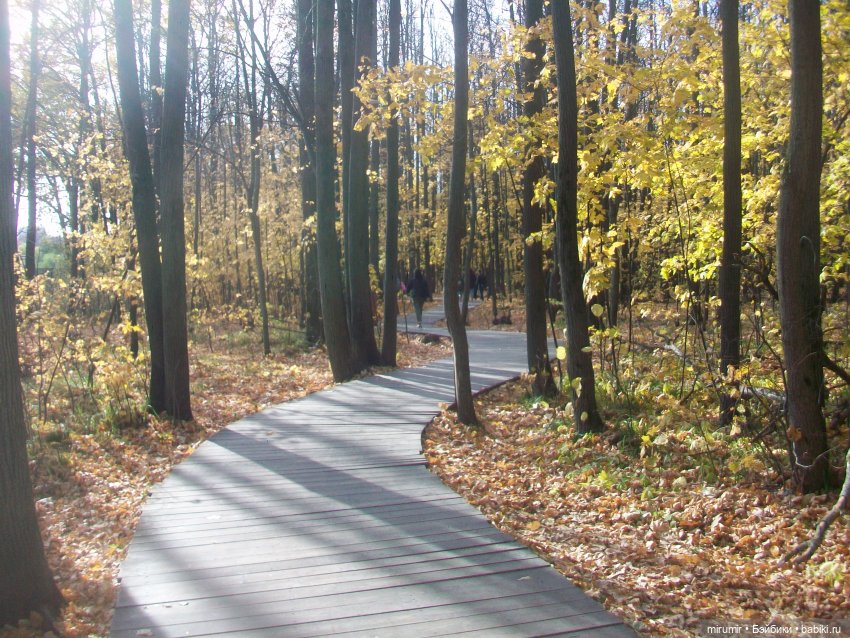 Прогулка в парке — Туризм и путешествия: фотоотчеты из поездок (фото 4)