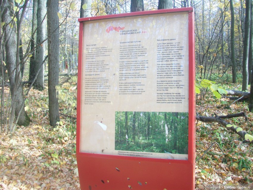 Прогулка в парке — Туризм и путешествия: фотоотчеты из поездок