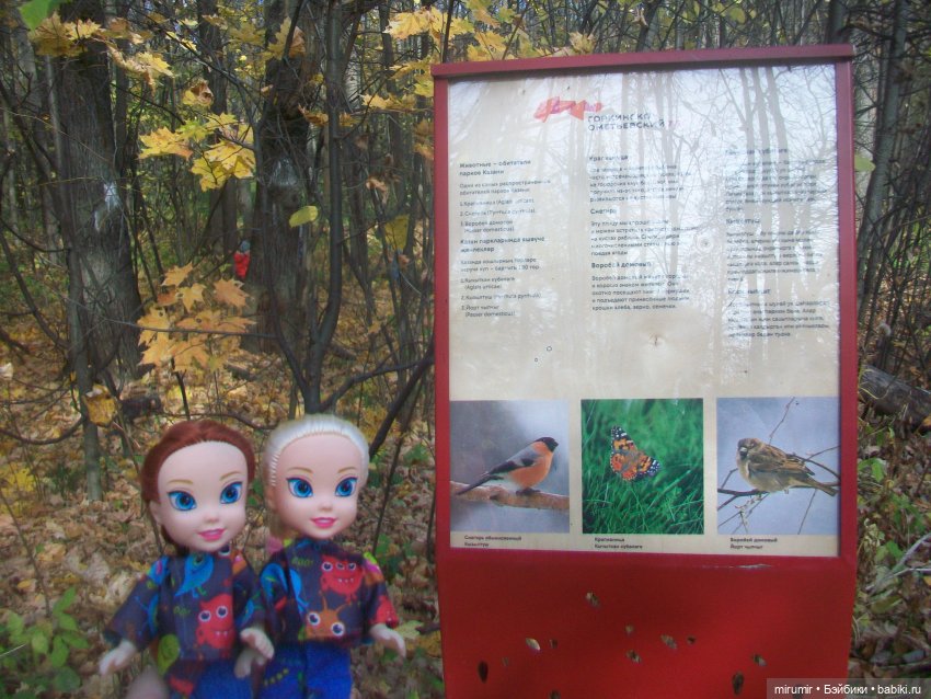 Прогулка в парке — Туризм и путешествия: фотоотчеты из поездок