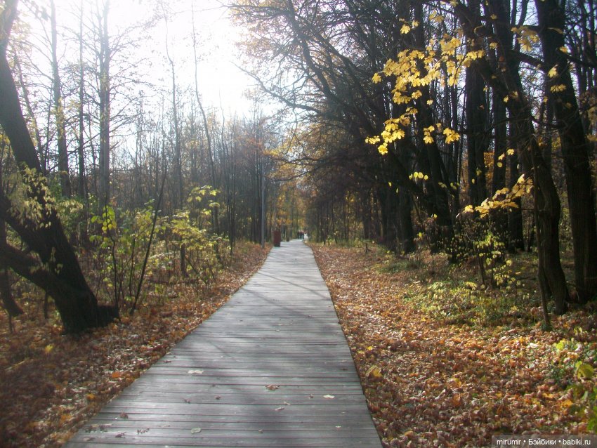 Прогулка в парке — Туризм и путешествия: фотоотчеты из поездок (фото 7)