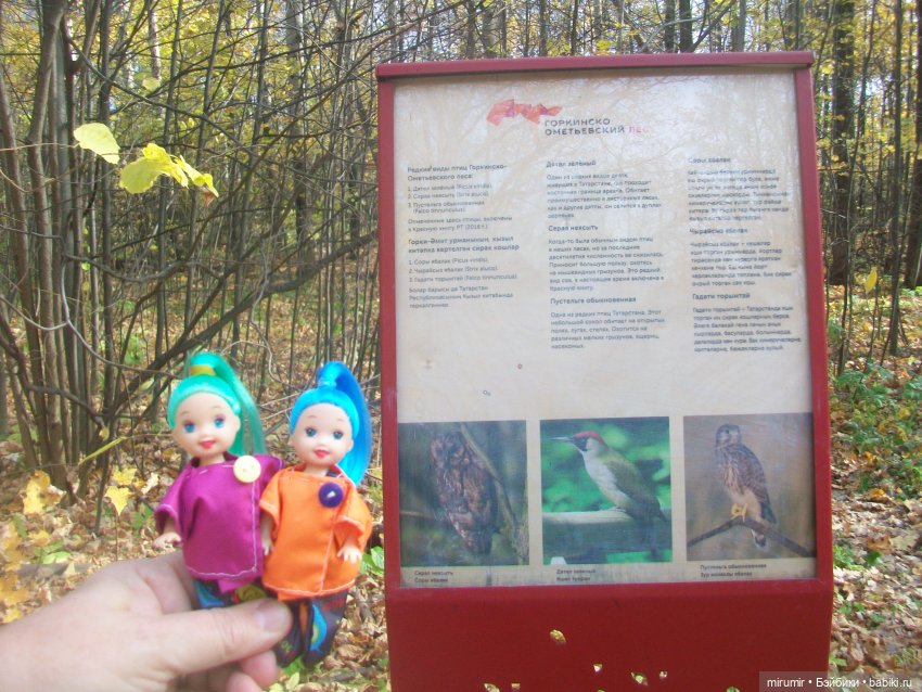 Прогулка в парке — Туризм и путешествия: фотоотчеты из поездок